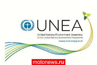 FIM приняла участие в ассамблее ООН