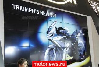 Triumph отложил выпуск 250-кубовых мотоциклов