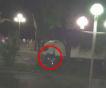 Мотоциклист не смог остановить террориста в Ницце