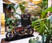 Мотоцикл Ducati Diavel 1260 S Materico представлен в рамках Недели дизайна в Милане