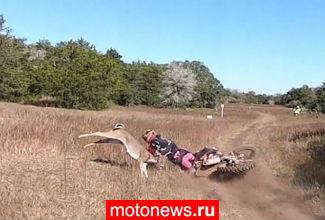 В США мотоциклиста сбил олень