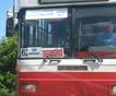 ШКМГ РФ: Специальные автобусы доставят зрителей до трассы