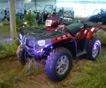 Polaris представил квадроциклы ATV и мотовездеходы UTV 2010 модельного года