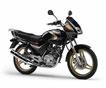 Тест-драйв мотоциклов Yamaha