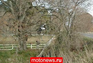 После аварии мотоцикл застрял на дереве