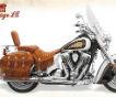 Indian Motorcycle 2013 Chief Vintage LE