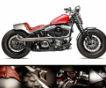 Redhot на базе Harley-Davidson от Роберто Росси
